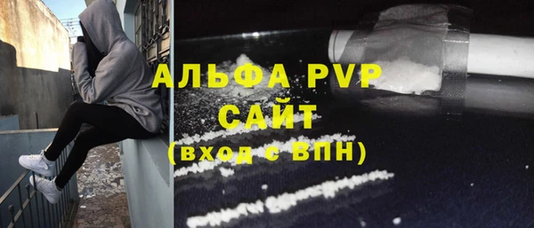 индика Ханты-Мансийск