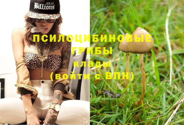 не бодяженный Гусиноозёрск