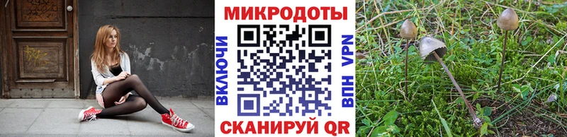 Галлюциногенные грибы MAGIC MUSHROOMS  Кольчугино 